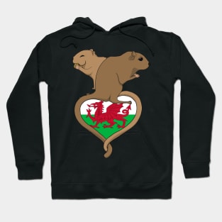 Gerbil Wales (light) Hoodie